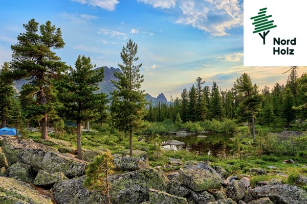 Отель для нужд компании Норд Хольц, Красноярский край