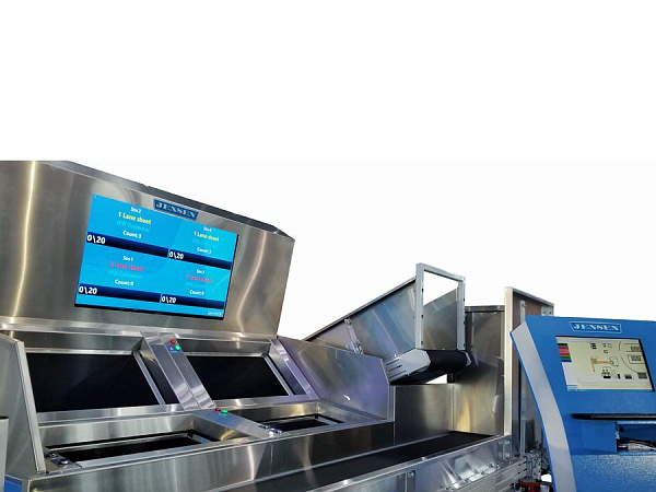 catalog product