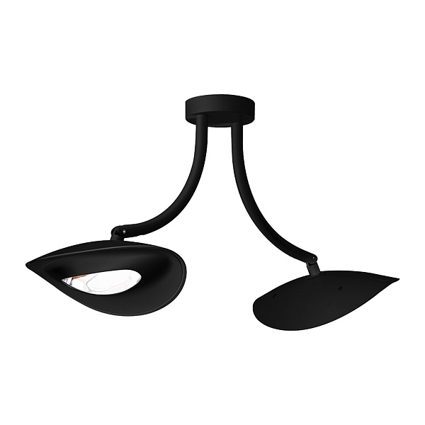 catalog product