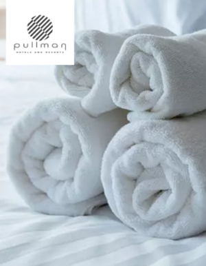 МАХРОВЫЕ-ПОЛОТЕНЦА-PULLMAN-363x467-1
